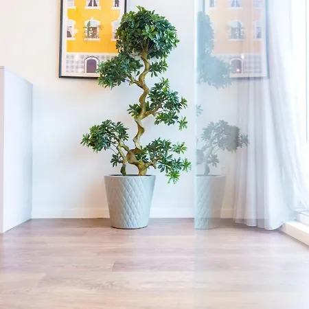 Terro Collection - Sao Vicente 86 Apartment *