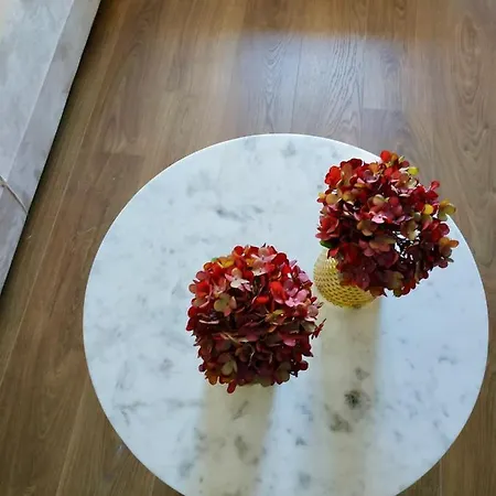 Terro Collection - Sao Vicente 86 * Braga