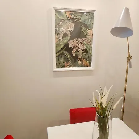 Апартаменты Terro Collection - Sao Vicente 86 Брага