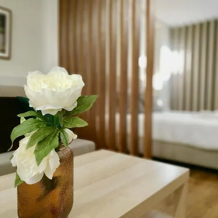 Terro Collection - Sao Vicente 86