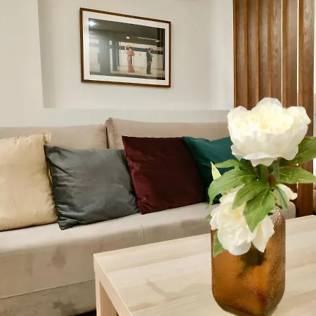 Terro Collection - Sao Vicente 86 * Braga