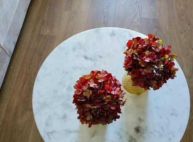 Terro Collection - Sao Vicente 86 * Braga