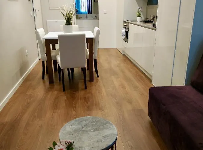 Terro Collection - Sao Vicente 86 * Braga