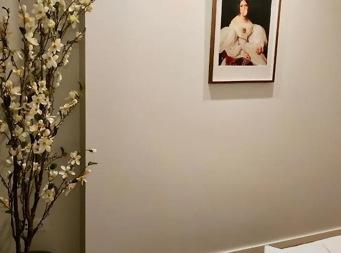 Terro Collection - Sao Vicente 86 布拉加