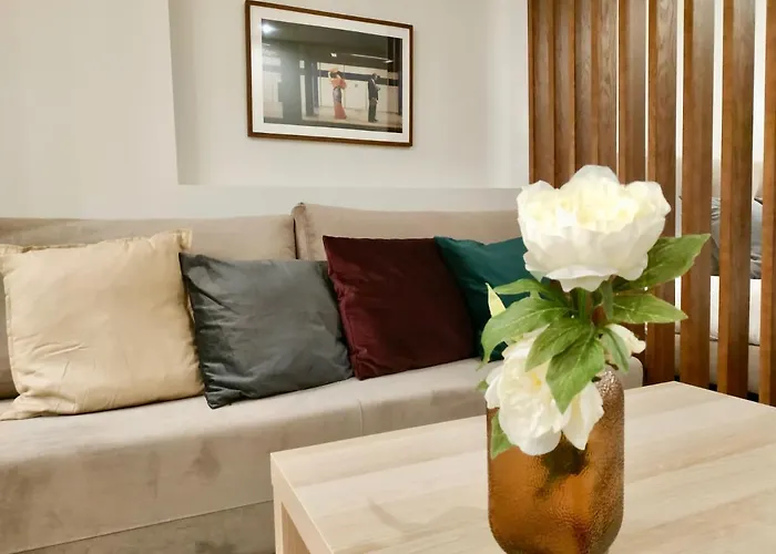 Terro Collection - Sao Vicente 86 * 布拉加