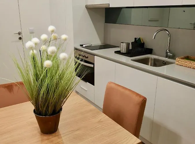 Terro Collection - Sao Vicente 86 公寓